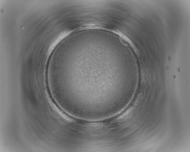 X0000070371333200606161307