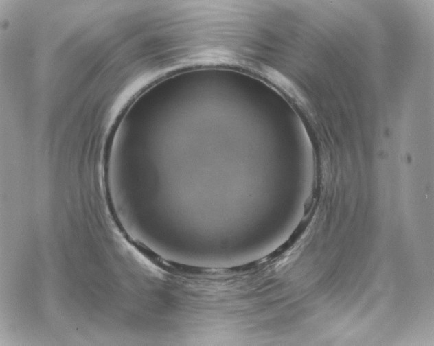 X0000070371334200606161307