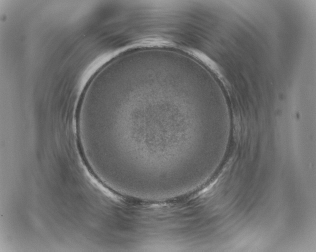 X0000070371335200606161307