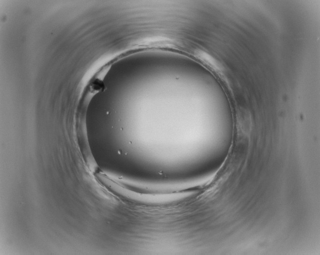 X0000070371336200606161307