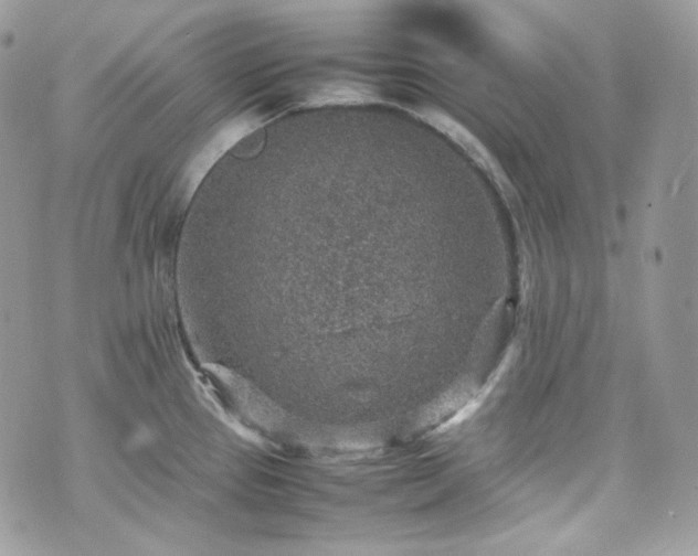 X0000070371337200606161307