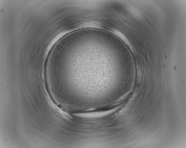 X0000070371339200606161307