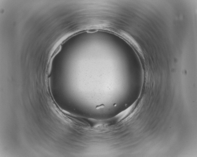 X0000070371340200606161307