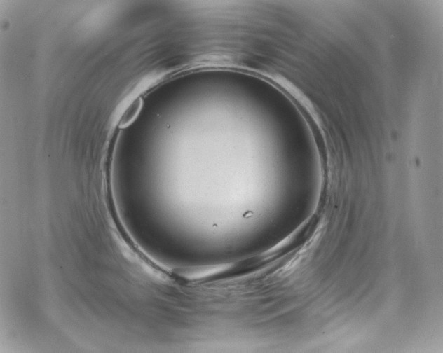 X0000070371341200606161307