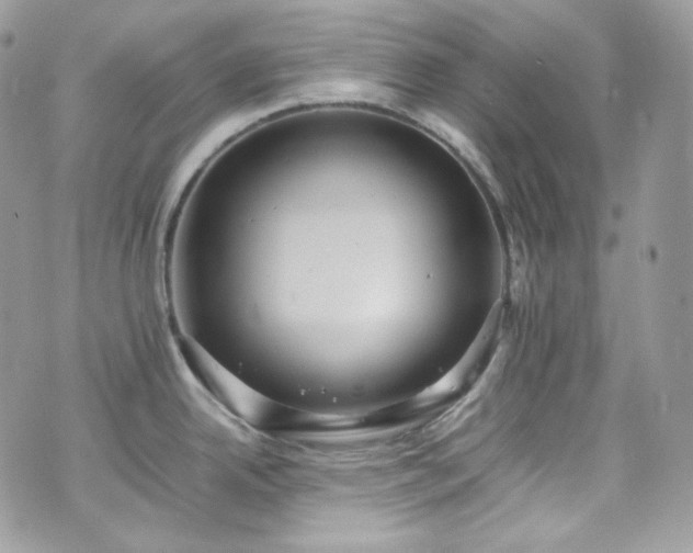 X0000070371342200606161307