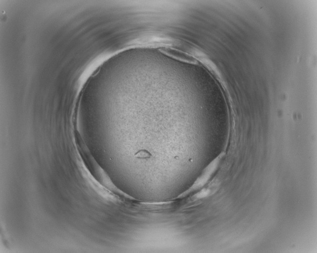 X0000070371344200606161307