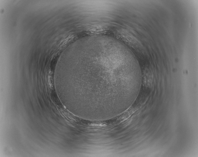 X0000070371346200606161306