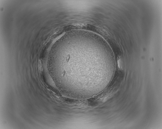 X0000070371347200606161306