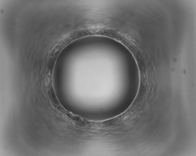 X0000070371349200606161306