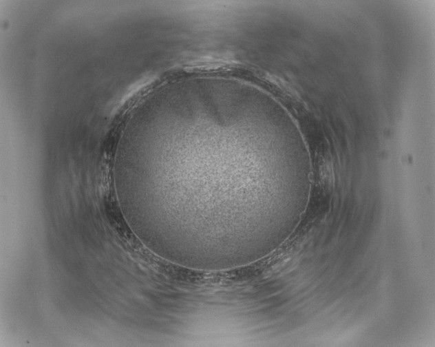 X0000070371350200606161306