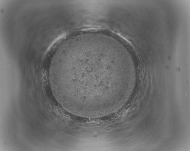 X0000070371351200606161306