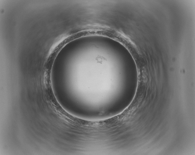 X0000070371352200606161306