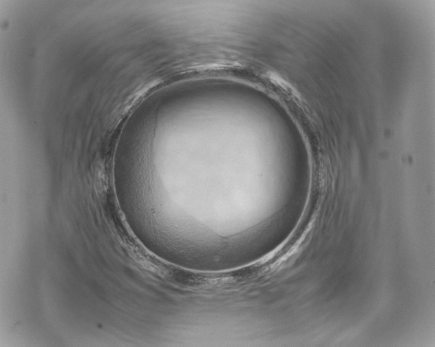 X0000070371353200606161306