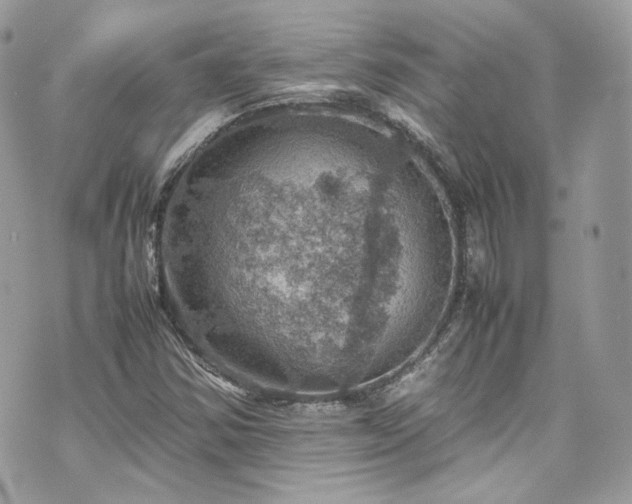 X0000070371354200606161306