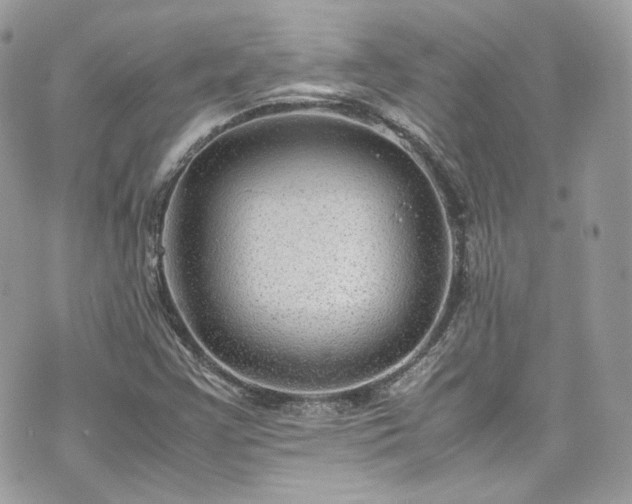 X0000070371355200606161306