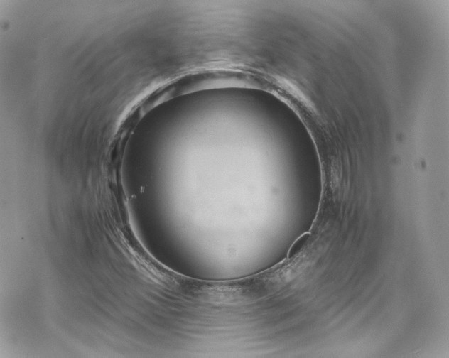 X0000070371356200606161306