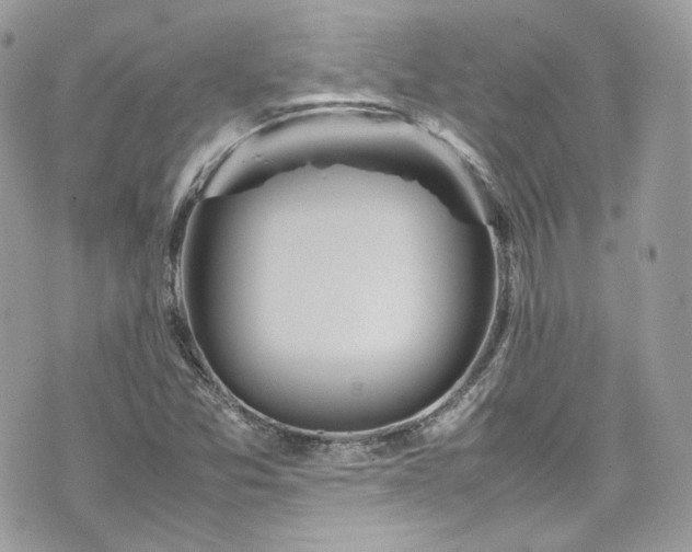 X0000070371357200606161306