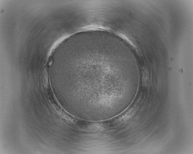 X0000070371358200606161306