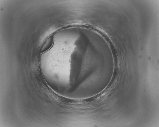 X0000070371359200606161306