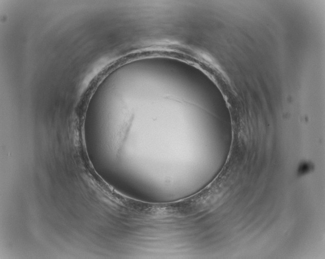 X0000070371360200606161306