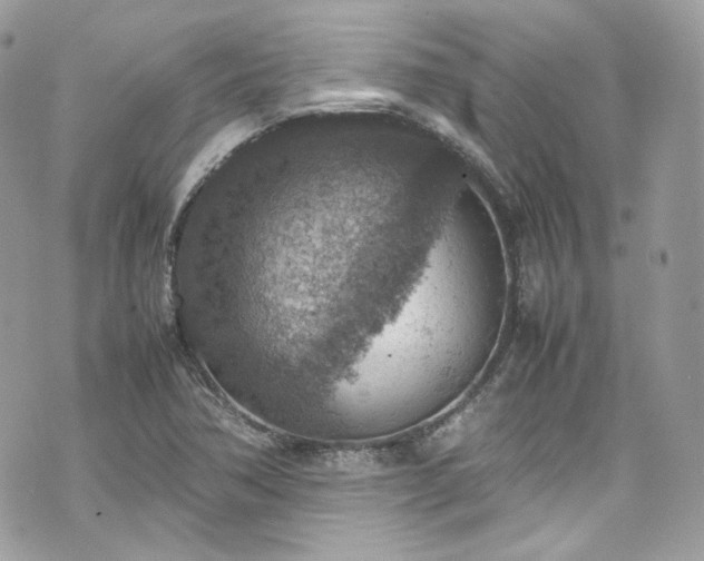 X0000070371362200606161306