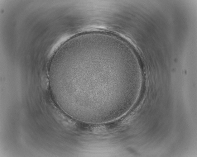 X0000070371363200606161306