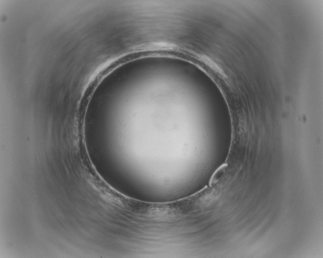 X0000070371364200606161306