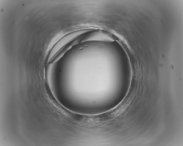 X0000070371365200606161306