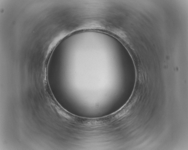 X0000070371366200606161306