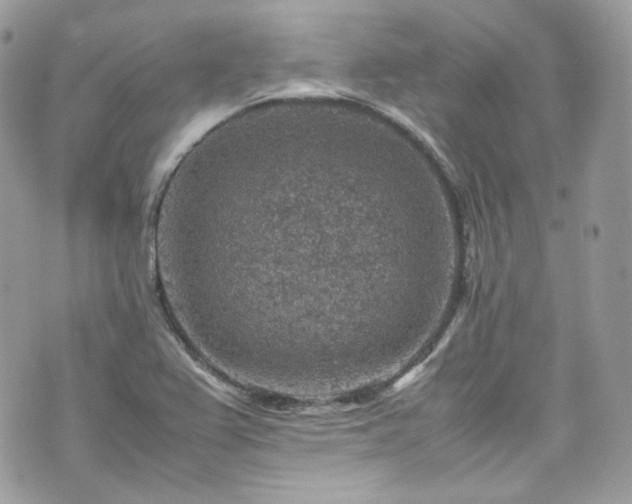 X0000070371367200606161306