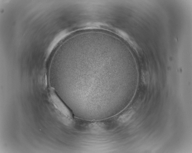 X0000070371368200606161306