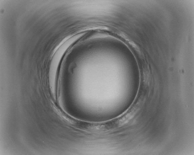 X0000070371369200606161306