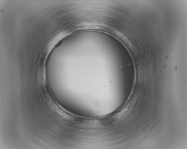 X0000070371370200606161306