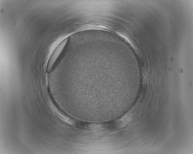 X0000070371371200606161306