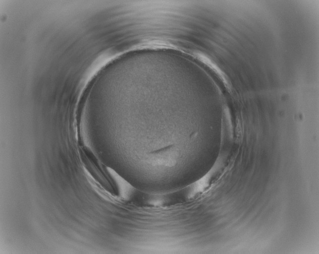 X0000070371372200606161306