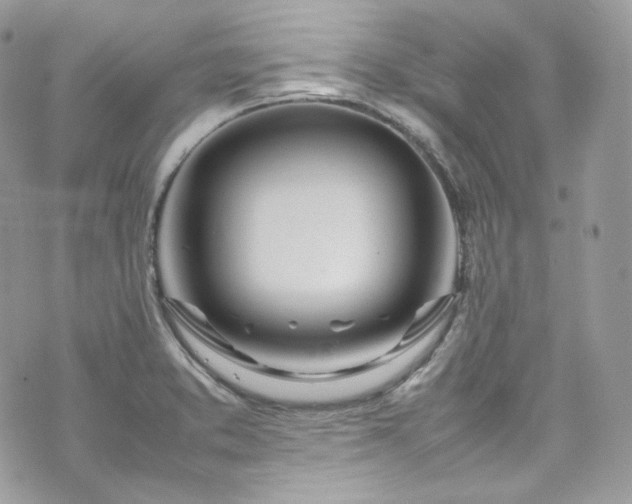 X0000070371373200606161306