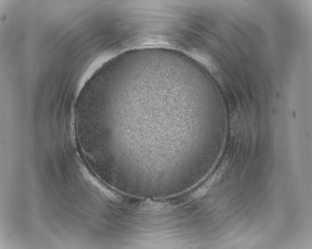 X0000070371374200606161306