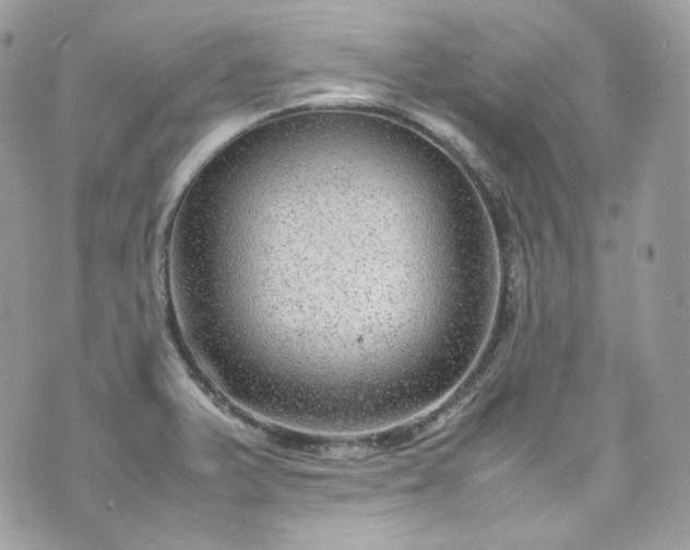 X0000070371375200606161306