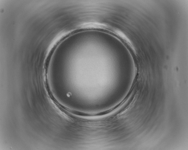 X0000070371376200606161306