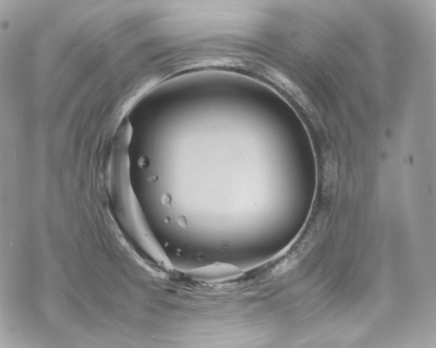 X0000070371377200606161306