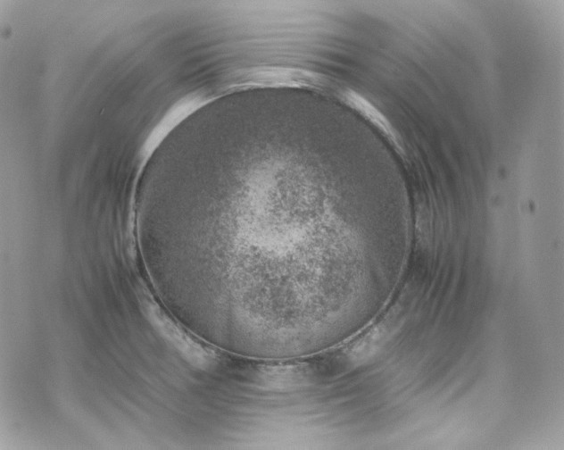 X0000070371378200606161306