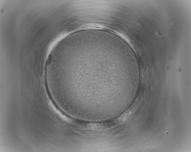 X0000070371379200606161306