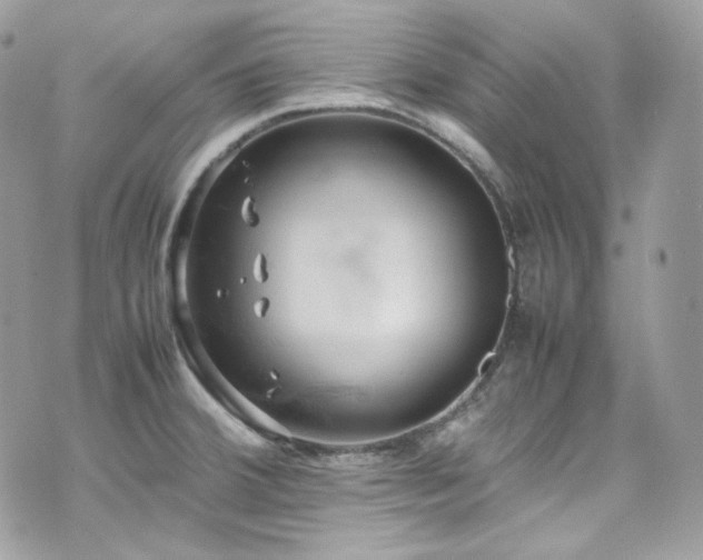 X0000070371380200606161306