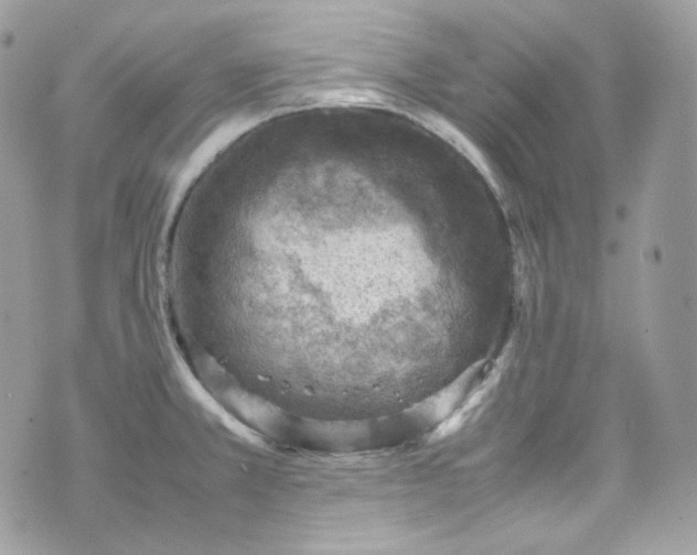 X0000070371381200606161306