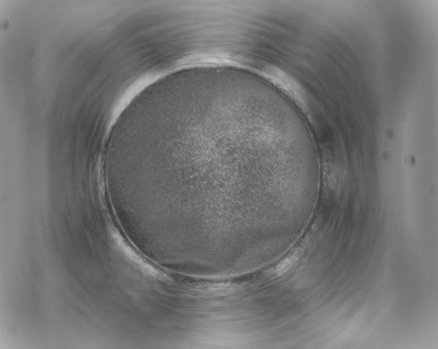 X0000070371382200606161306