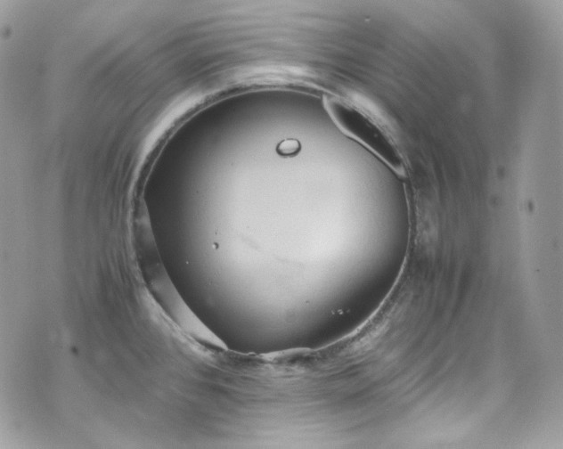 X0000070371384200606161306