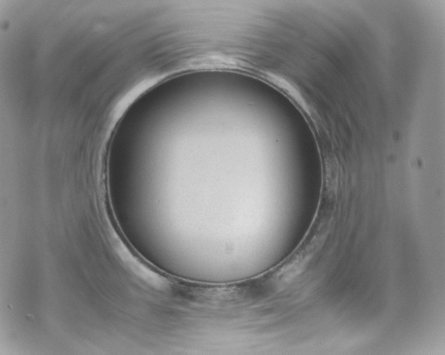 X0000070371387200606161306