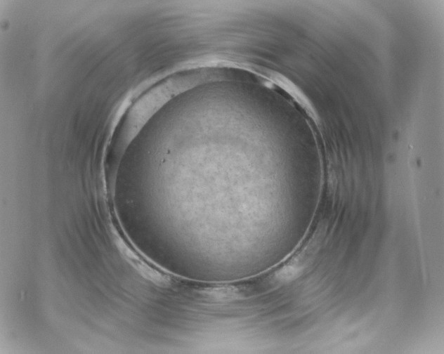 X0000070371388200606161306