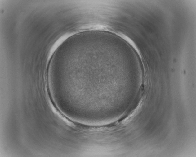 X0000070371389200606161306