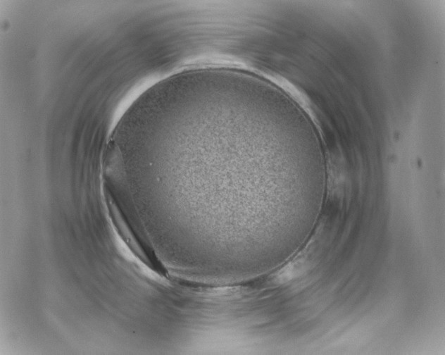 X0000070371390200606161306